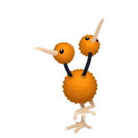 Doduo